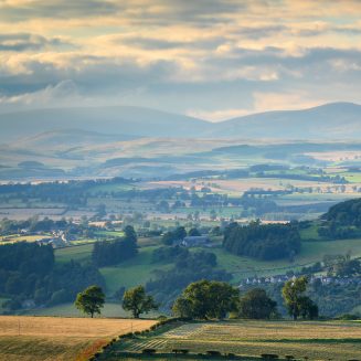 Cheviot Hills