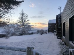 Tutors Lodge