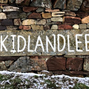 Kidlandlee